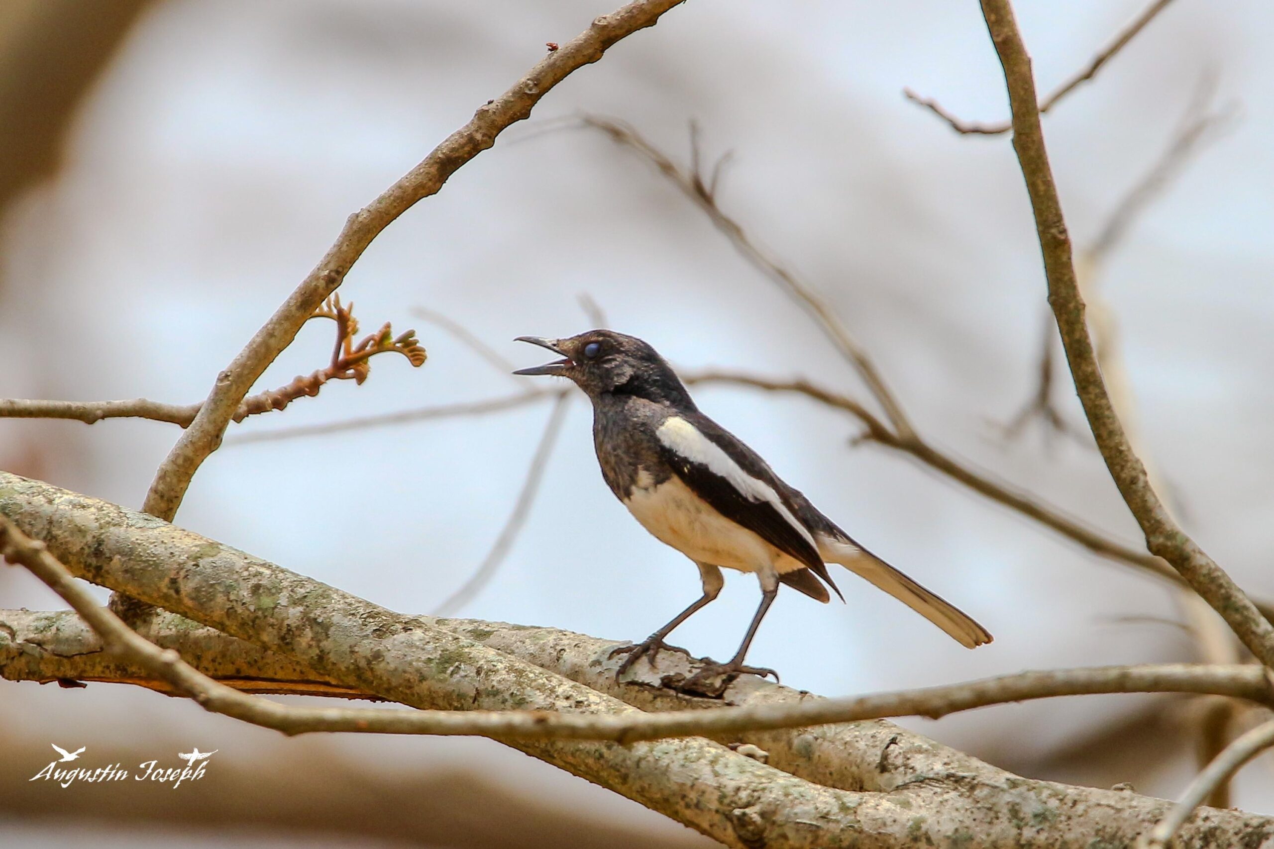 WhatsApp Image 2024-04-24 at 10.29.51 PM