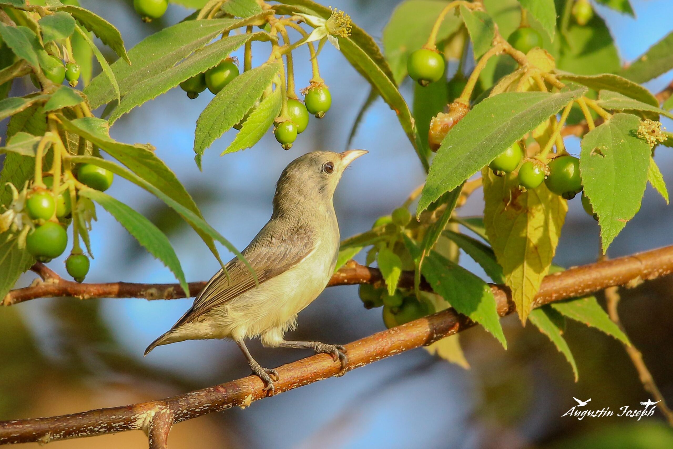 WhatsApp Image 2024-04-25 at 7.55.35 PM