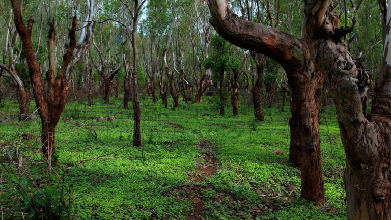 jalagamparai-img1