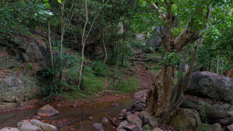 jalagamparai-img2