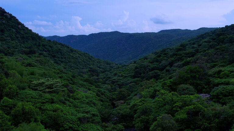 jalagamparai-img3