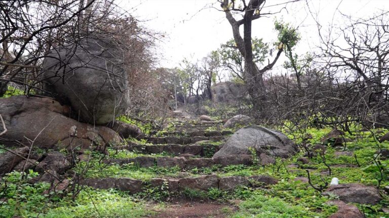 yelagiri-swamimalai2